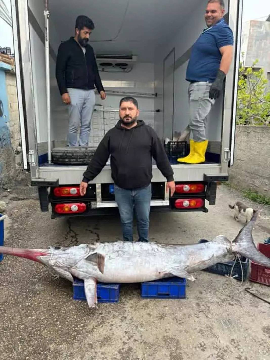 Yakaladıkları 150 kg ağırlığındaki kılıç balığını restorana rekor fiyata sattılar! Görenlerin ağzı açık kaldı 3